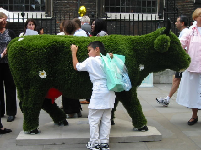 Chia-pet cow.  This one, the previous, and the next few all spotted on Jermyn Street.
