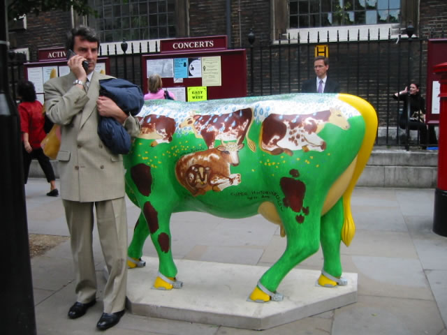The cow's cow.