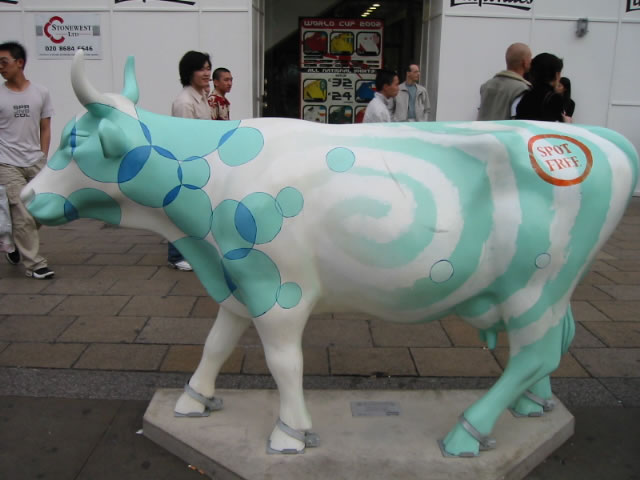 Spot-free cow.