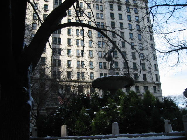 Looking to the Plaza Hotel
