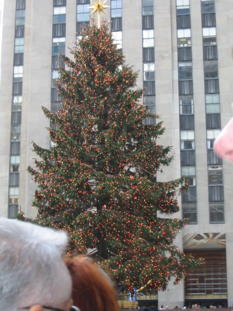 The tree in Rockefeller Plaza