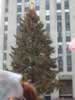 The tree in Rockefeller Plaza (89,129 bytes)