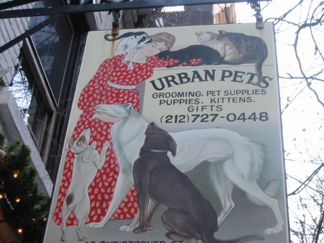 The Greenwich Village pet store