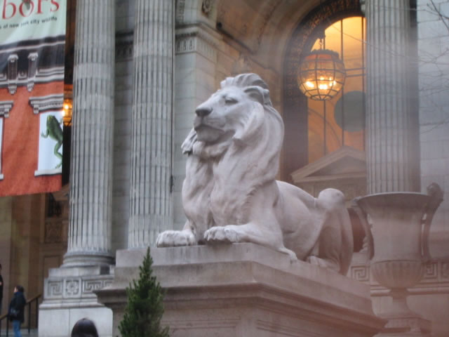 lion in front of ny public library