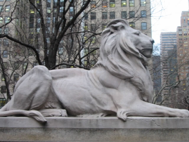 lion in front of ny public library