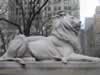 lion in front of ny public library (61,659 bytes)